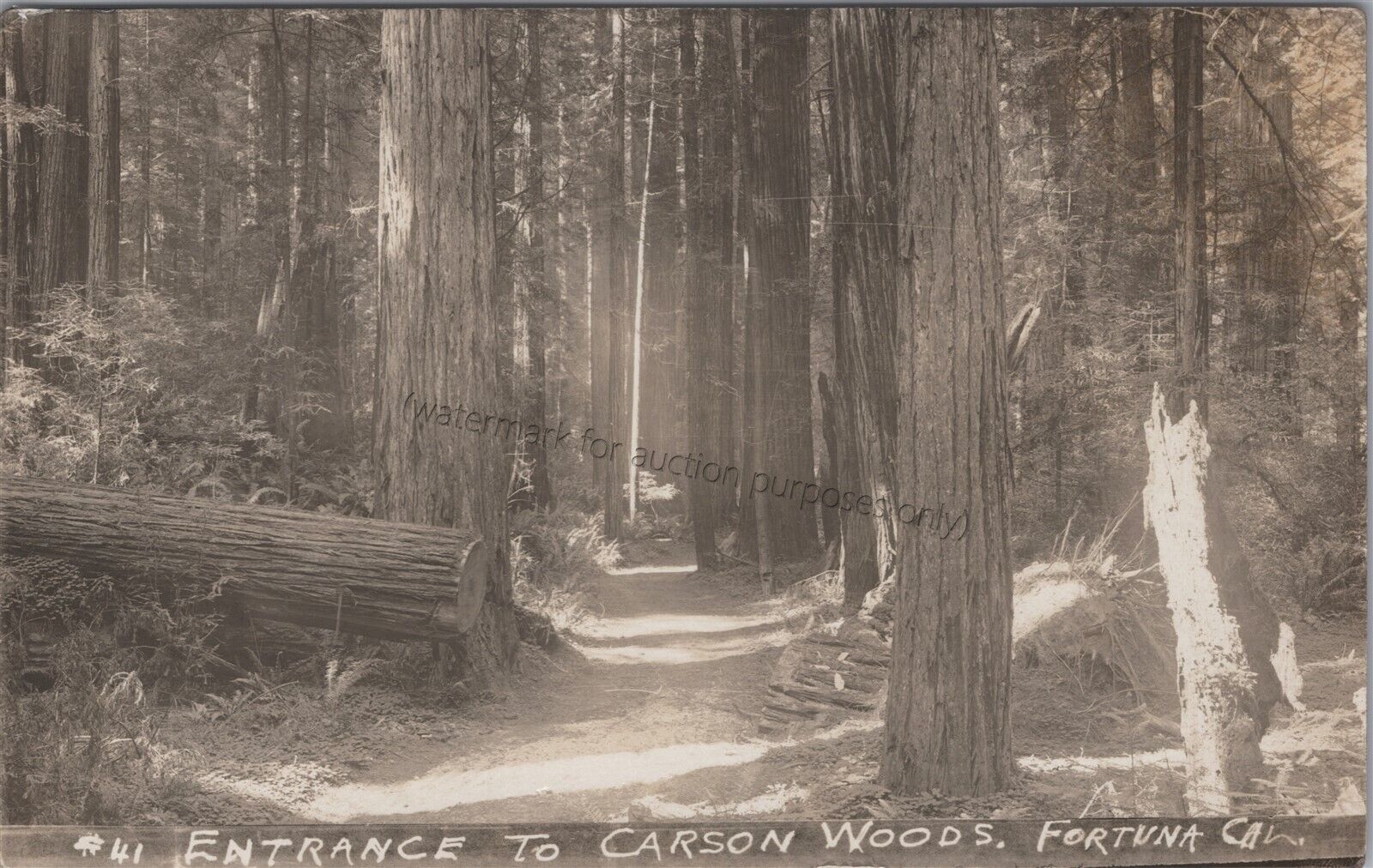 Fortuna, CA: RPPC Entrance To Carson Woods, California Real Photo Postcard