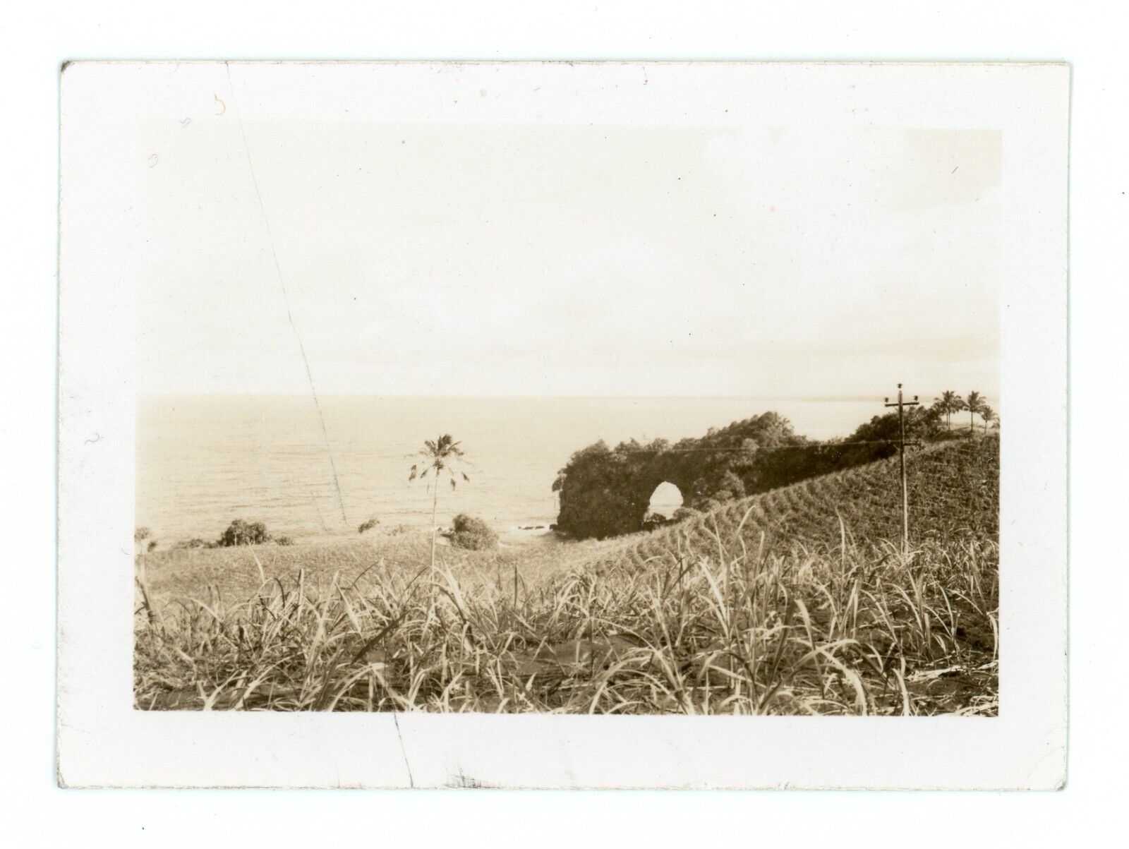 Onomea Gulch Hilo Hawaii Vintage Old Small Photos Photographs c1940s