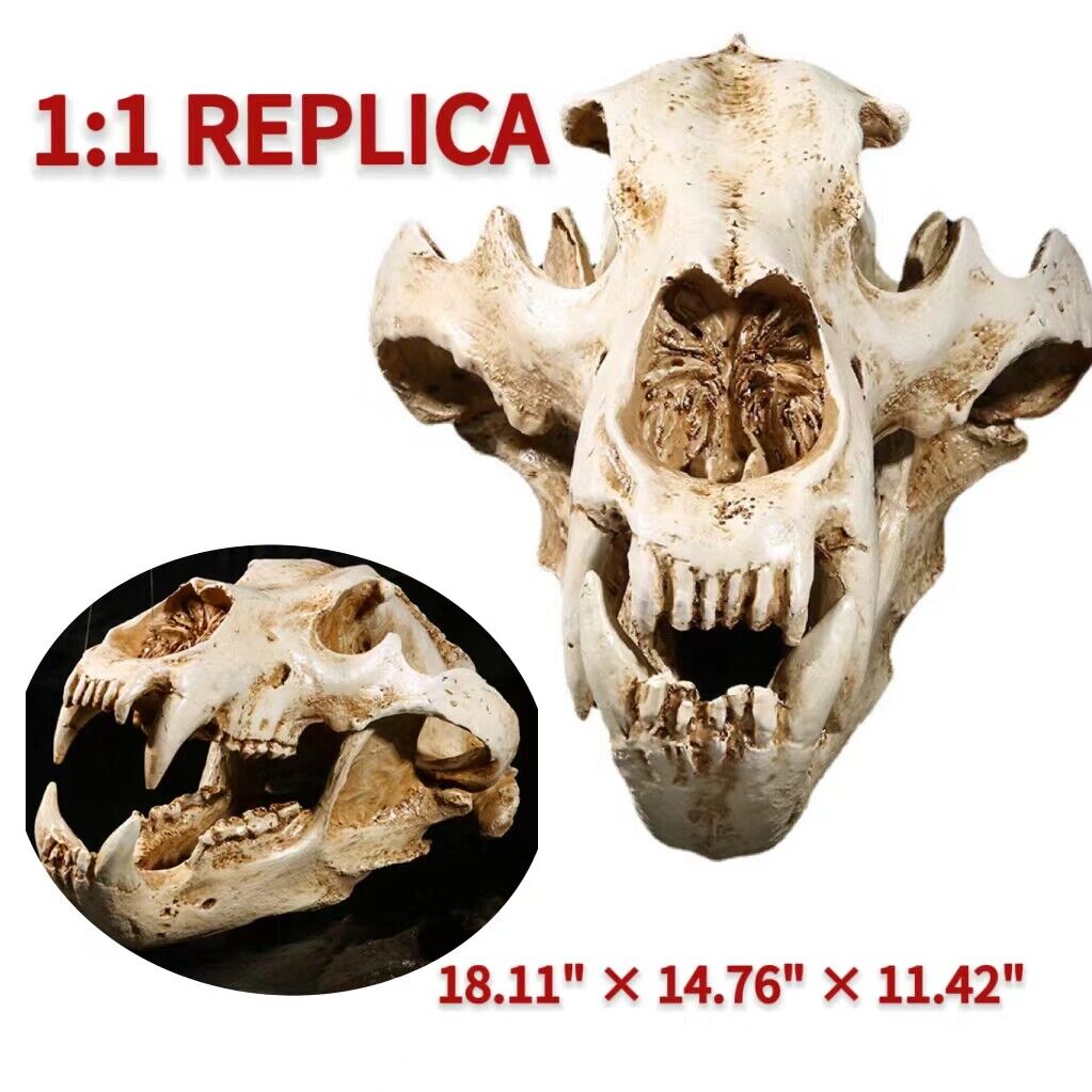Polar Bear Fossil Head Skull Prehistoric Statue 1:1 Replica Paleontology Model
