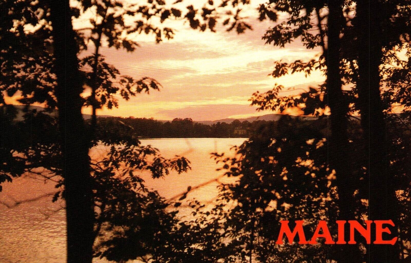 Maine Sunset Over Lake Through Trees Vintage Chrome Postcard  Unposted