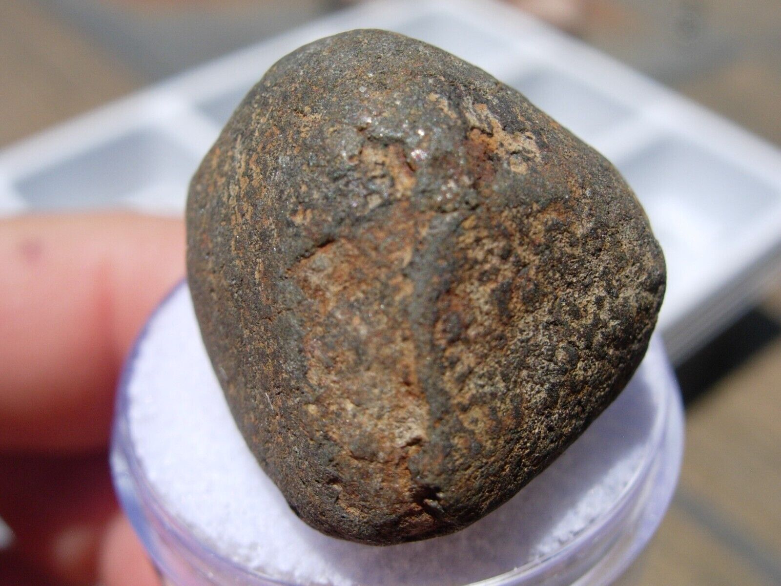 12 grams Gao Guenie Meteorite as found Olivine-bronzite chondrite (H4) w/ COA