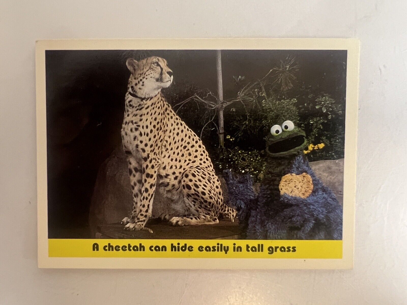 Vintage Sesame Street Trading Card #88: A cheetah / COOKIE MONSTER CTW 1992