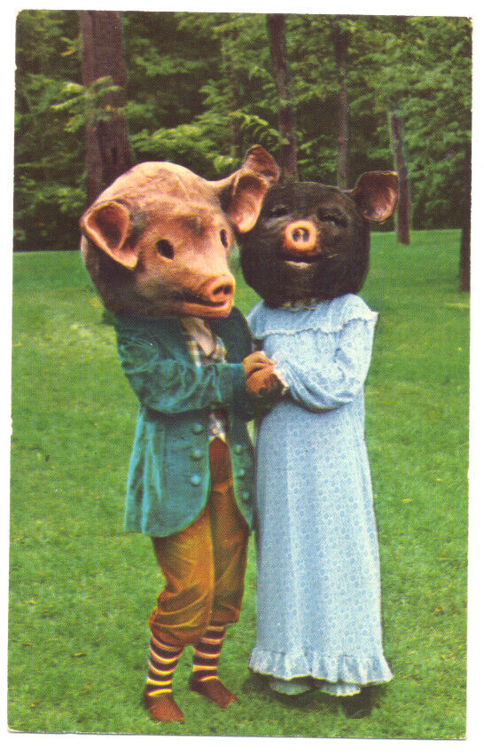 DRESSED PIG CHARACTERS at FANTASYLAND Gettysburg PA 1974 Postcard