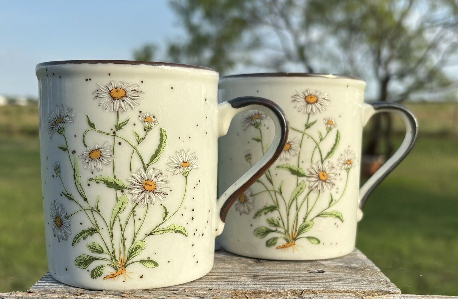 Vintage MCM Otagiri Painted Flower Coffee Tea Mug Cup Set Of 2