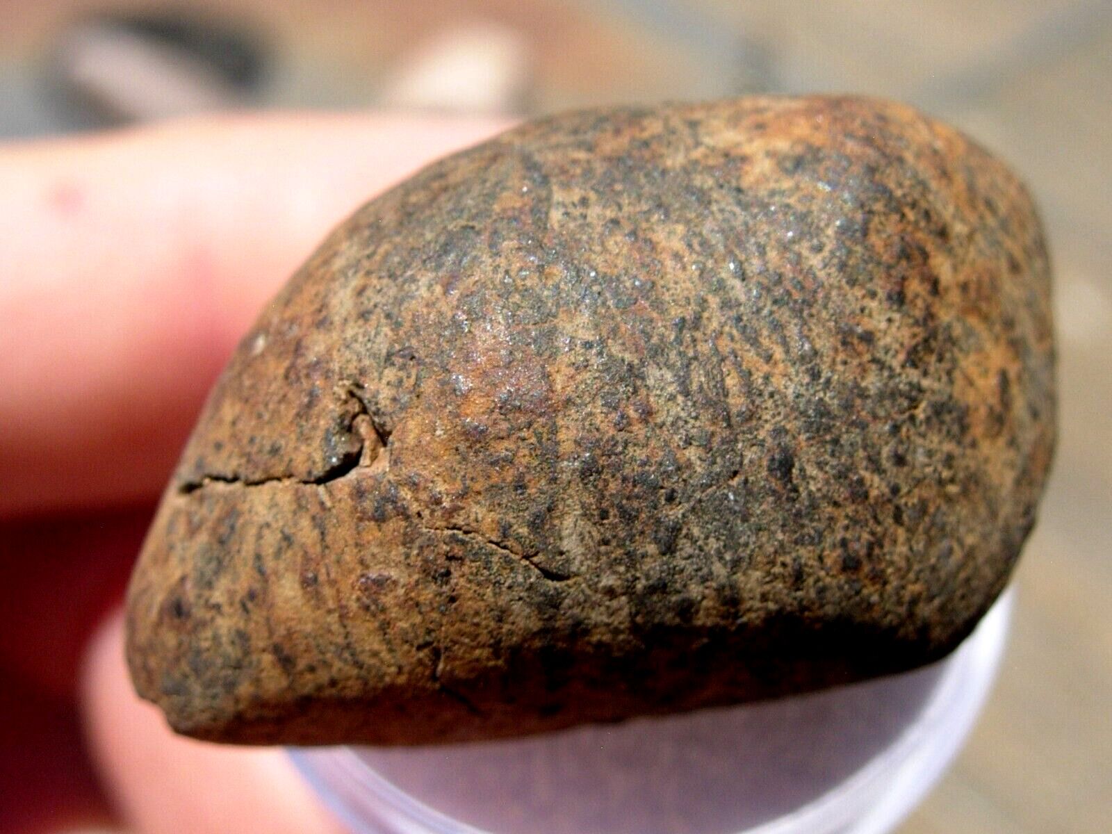 20 grams Gao Guenie Meteorite as found Olivine-bronzite chondrite (H4) w/ COA