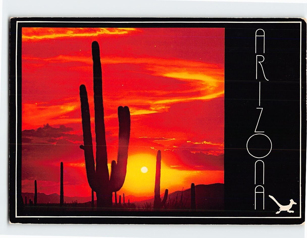 Postcard Fiery Arizona Sunset, USA