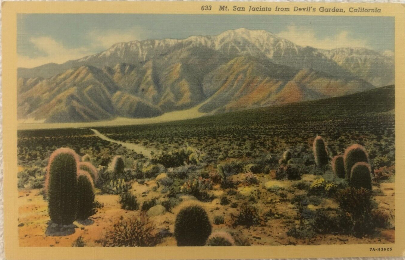 Mt. San Jacinto from Devil's Garden Ca. Vintage Postcard
