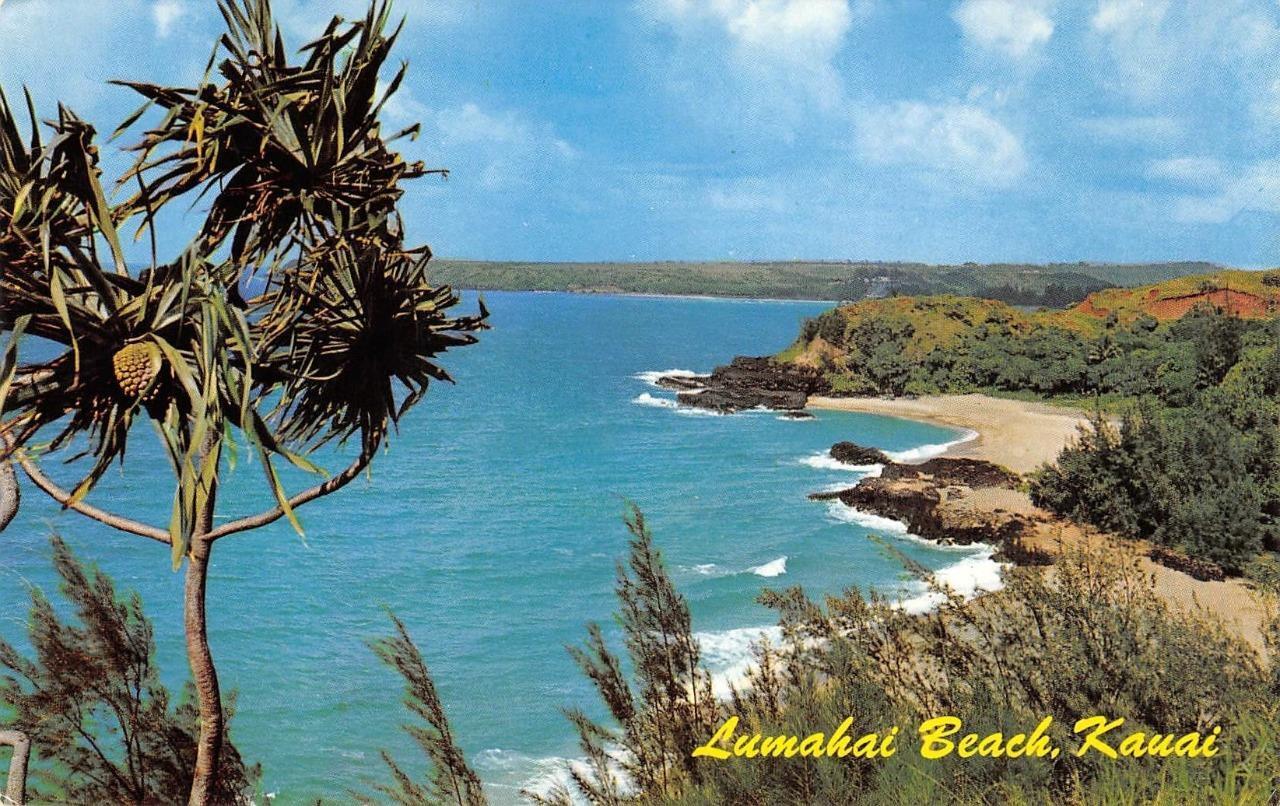 LUMAHAI BEACH Kauai, Hawaii c1960s Mike Roberts Chrome Vintage Postcard