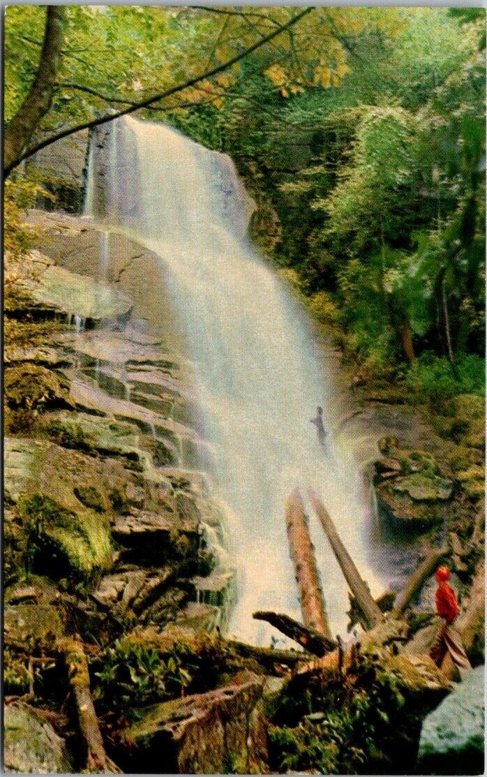 Beautiful Water Falls Mountains Asheville NC Vintage Chrome Postcard B23