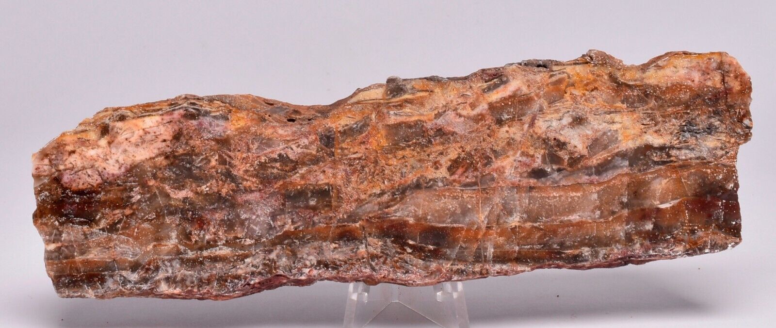 MICROBIAL MAT, Dresser Fmt, Stromatolite, North Pole Dome 180g S584