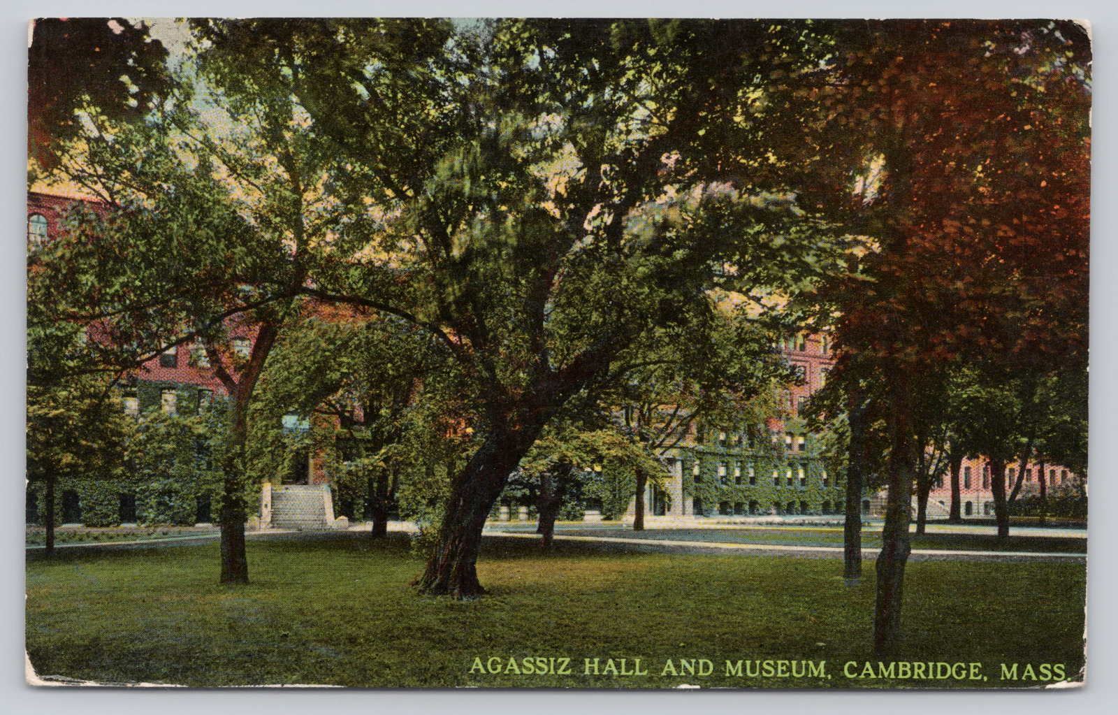 Agassiz Hall Museum Comparative Zoology Harvard University Cambridge MA Postcard