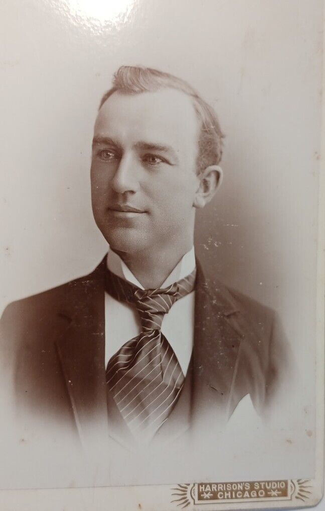 1890\'S CABINET CARD Handsome Man in suit, Harrison\'s Studio,  Boston, Mass