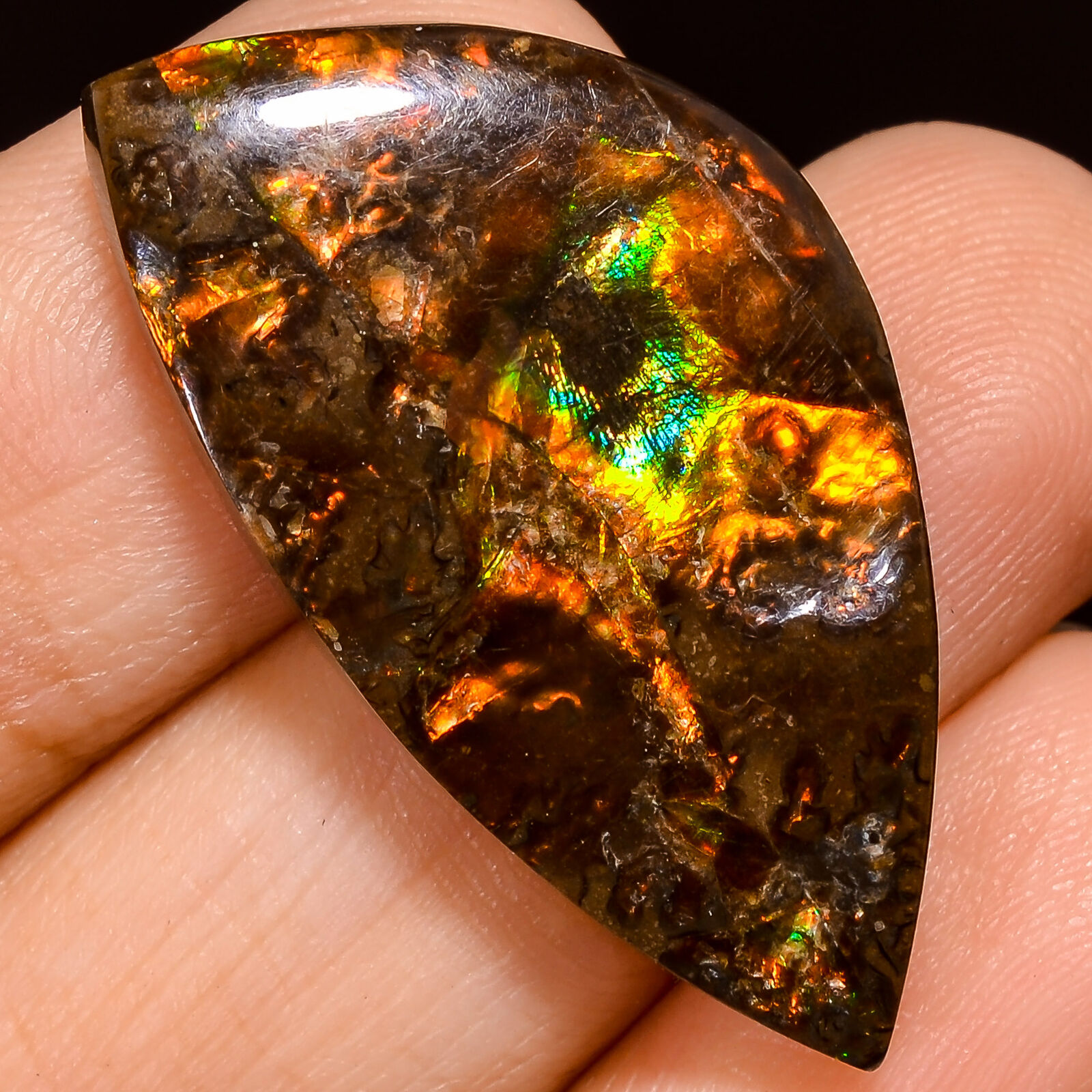24.50Cts. Natural Play Of Multi Fire Ammolite Fancy Cabochon Loose Gemstone