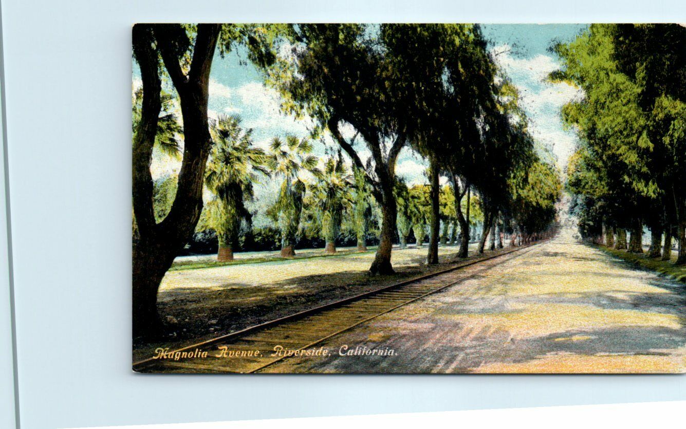 Postcard - Magnolia Avenue, Riverside, California