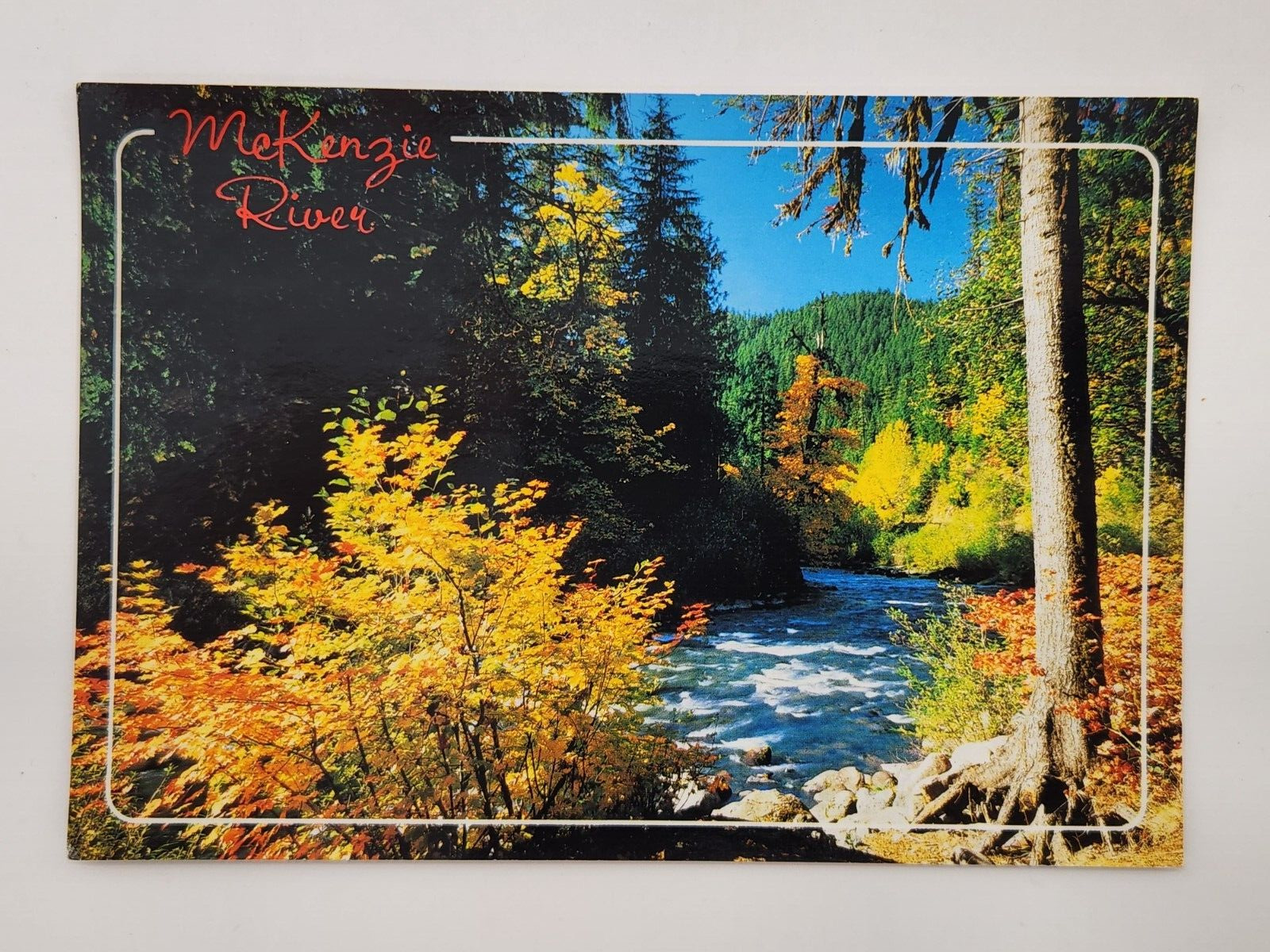 Vintage Postcard McKenzie River Oregon Cascades Mountains USA. Unposted W/ Stamp