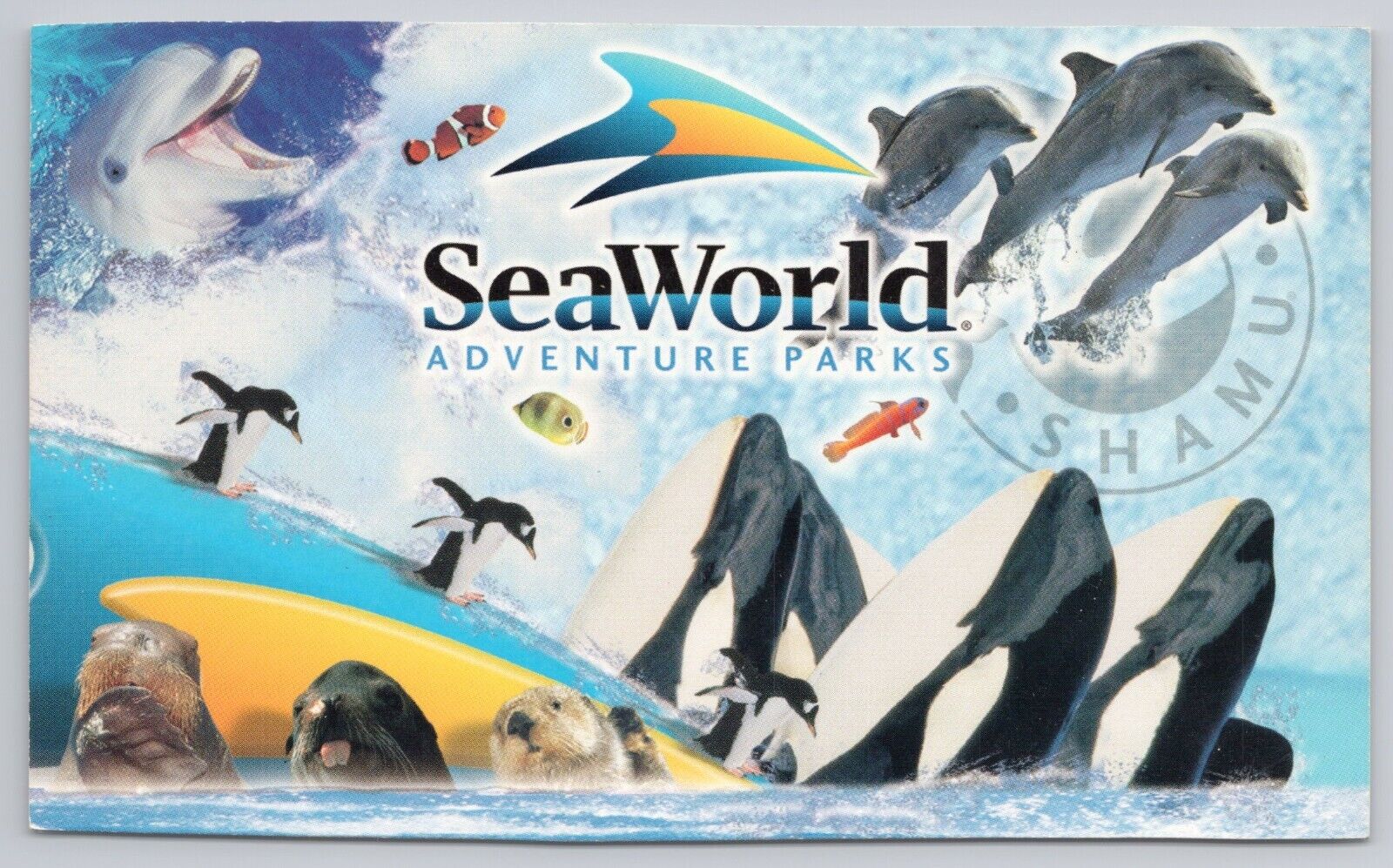 Postcard SeaWorld Adventure Parks Shamu