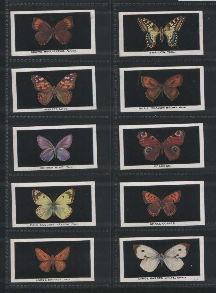 Cigarette cards set British Butterflies 1935 by Abdulla