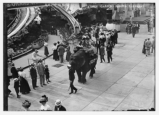 Photo:Coney Island,Riding Elephant,New York,June 18,1911,JUDY,people,rides