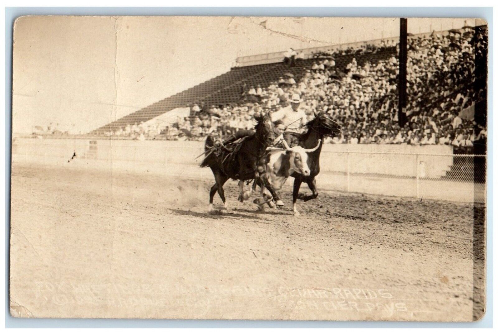 c1910\'s Frontier Days Rodeo Fox Hastings Cheyenne Wyoming WY RPPC Photo Postcard