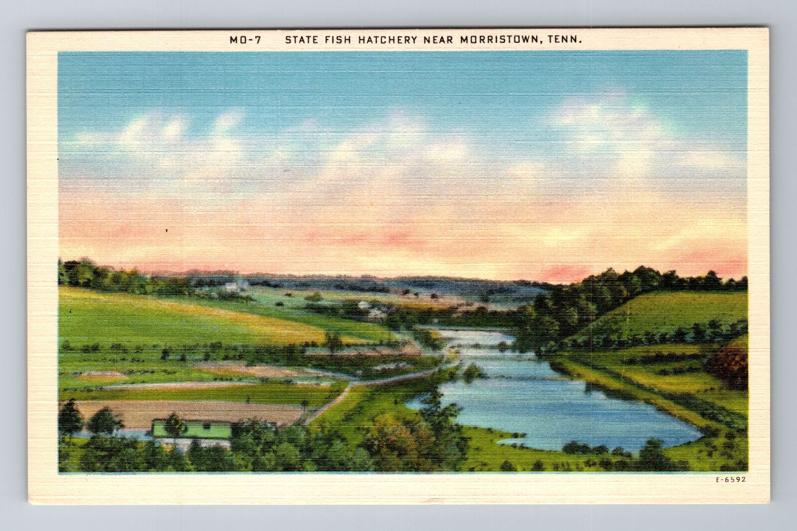 Morristown TN-Tennessee, State Fish Hatchery, Antique, Vintage Souvenir Postcard