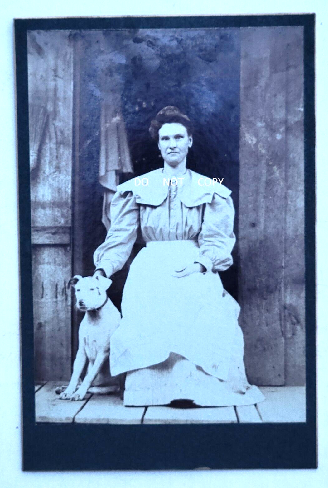 1890S CABINET PHOTO...LADY SITTING ON PORCH POSING WITH WHITE DOG, W. VIRGINIA?