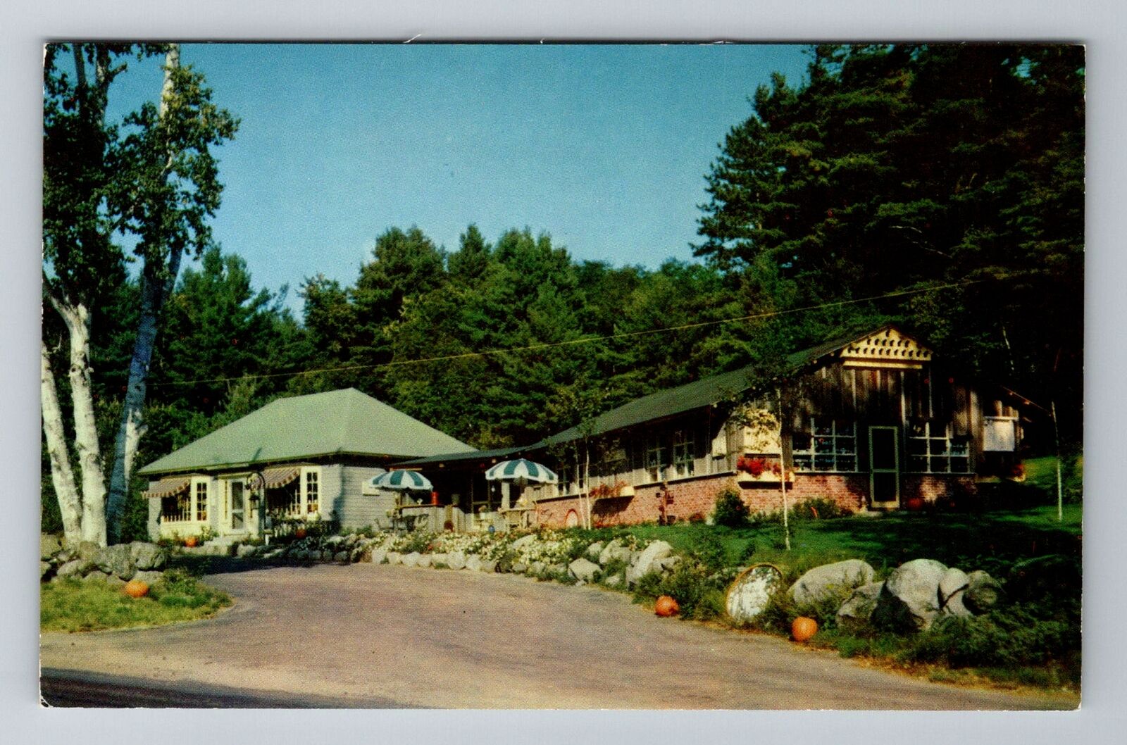 North Conway NH-New Hampshire, The Shop In The Woods, Antique, Vintage Postcard