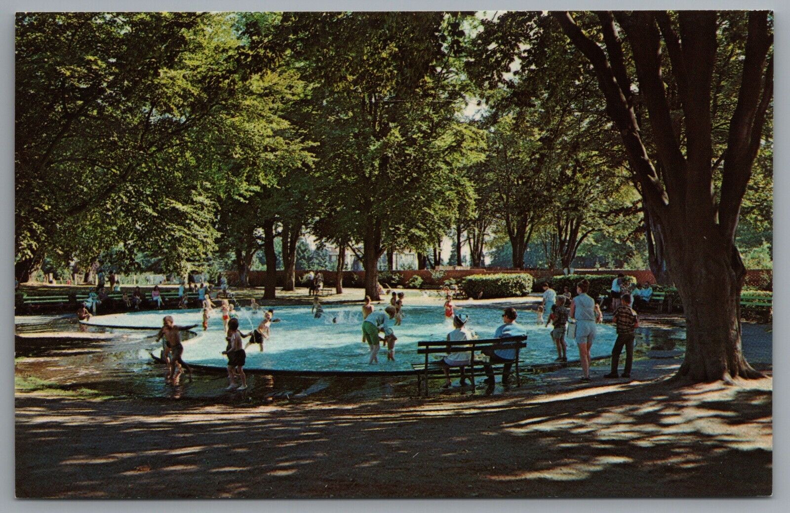Seattle WA Woodland Park Children\'s Wading Pool c1967 Postcard
