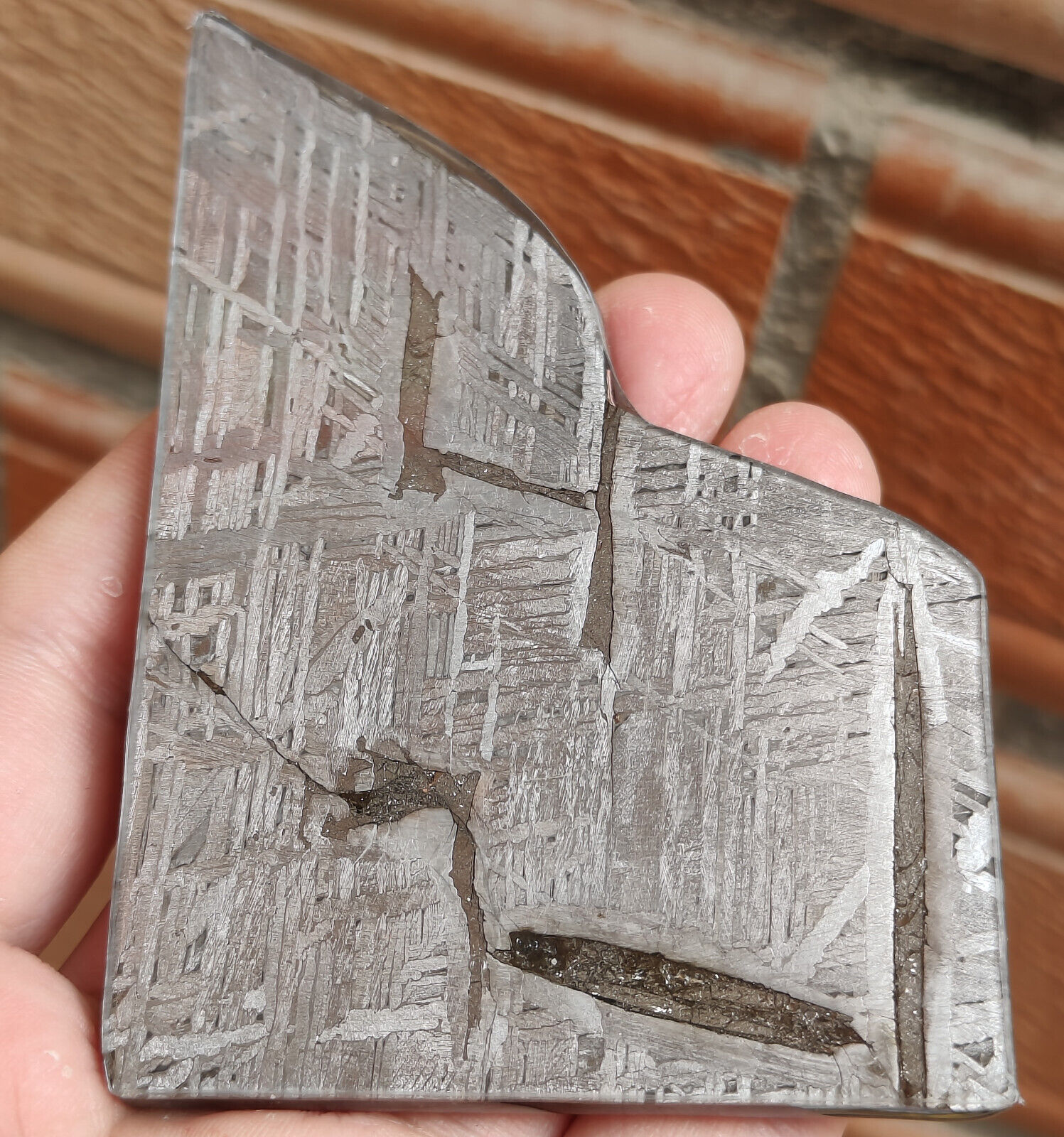 146g Aletai iron meteorite Leftover material thin slice