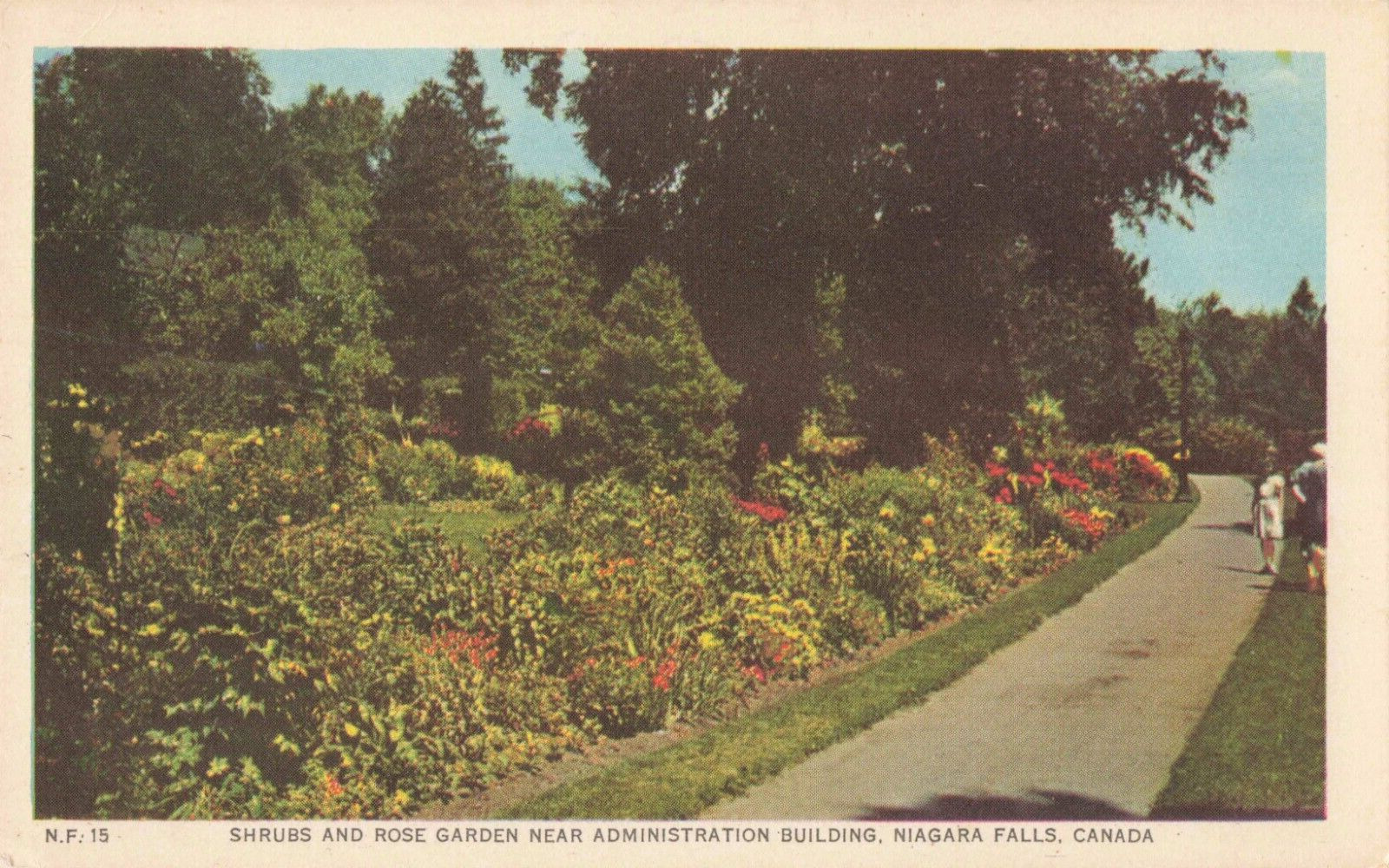 Niagara Falls Canada, Shrubs & Rose Garden, Vintage Postcard