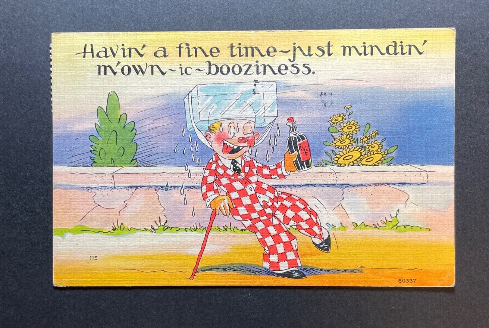 Humor Postcard Havin a fine time just mindin my own Booziness