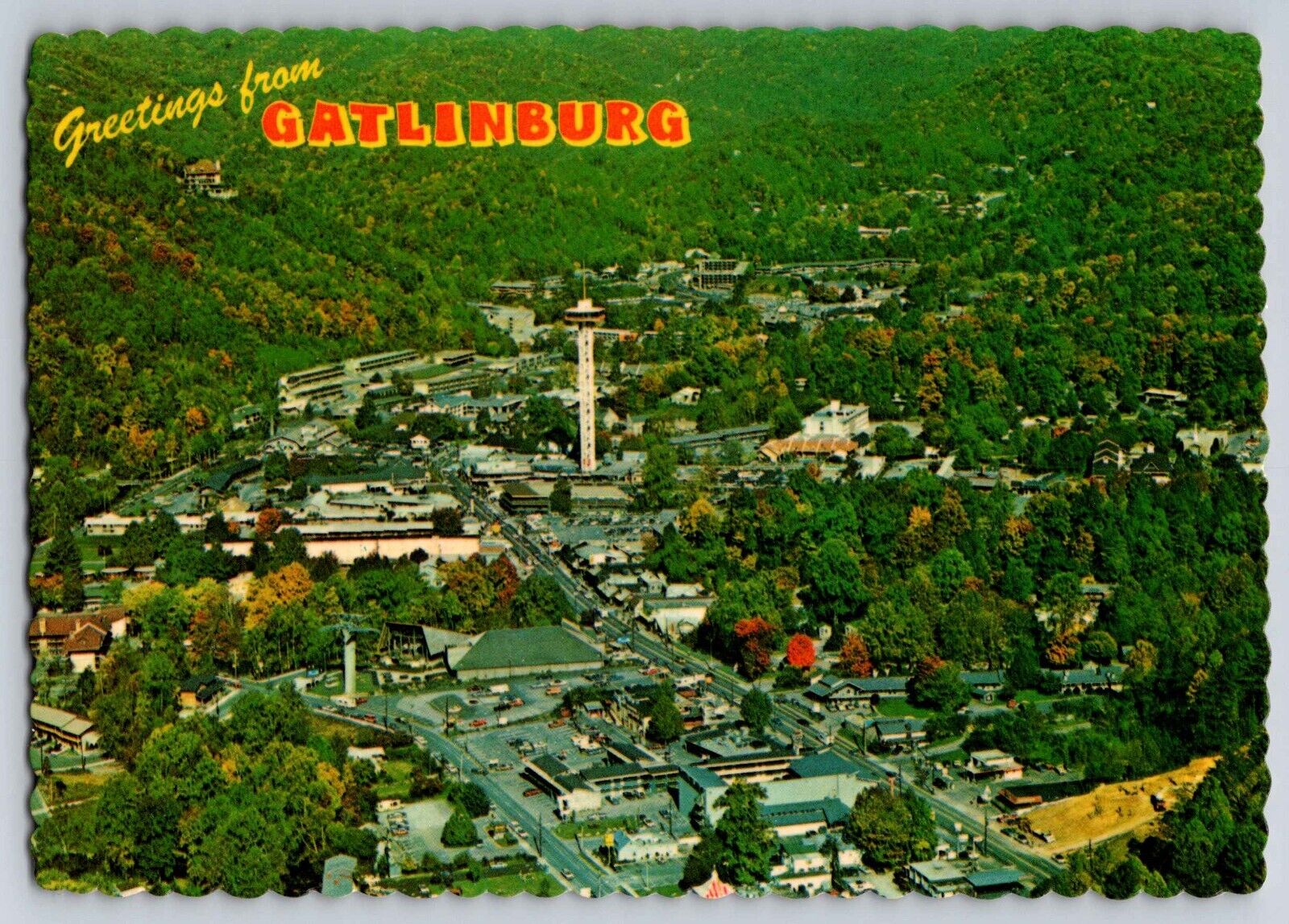 Postcard Greetings from  Gatlinburg Tenn. @ the foot of Mt. LeConte    UNP B 19