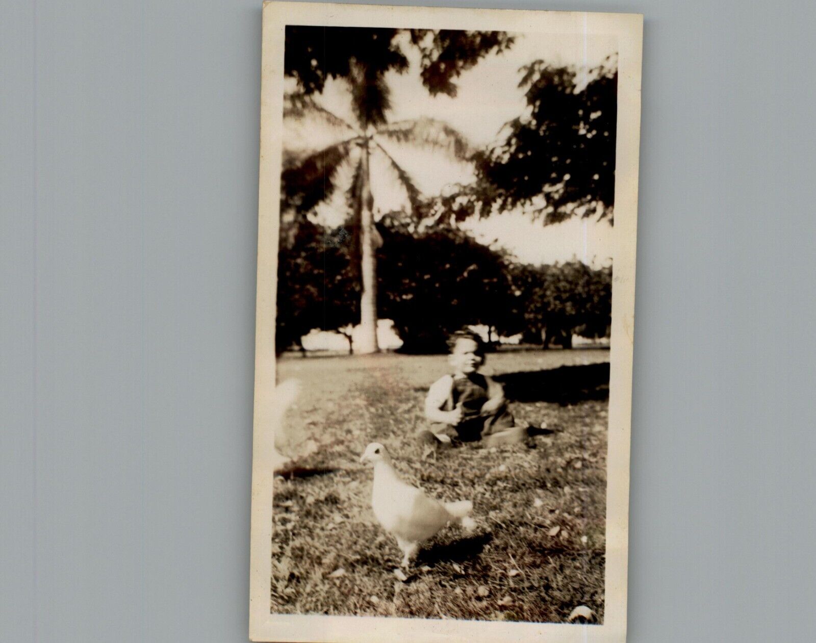 Antique 1940\'s Hanging Out with A Bird - Black & White Photography Photo