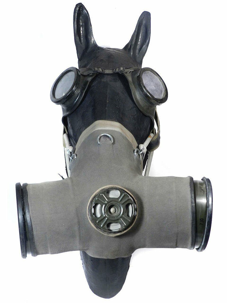 Romania gas mask for horses during the Cold War Full rare