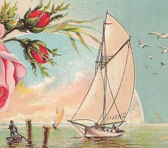 1880s Lion Coffee Rose Sailboat Boat Seagulls P251