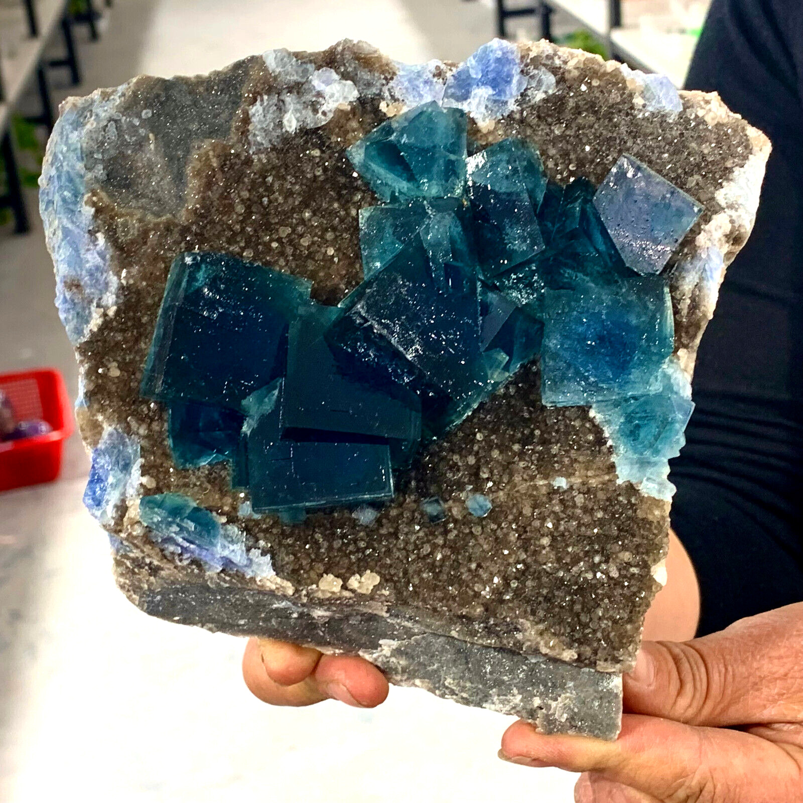 3.61LB Rare transparent blue cubic fluorite mineral crystal sample / China