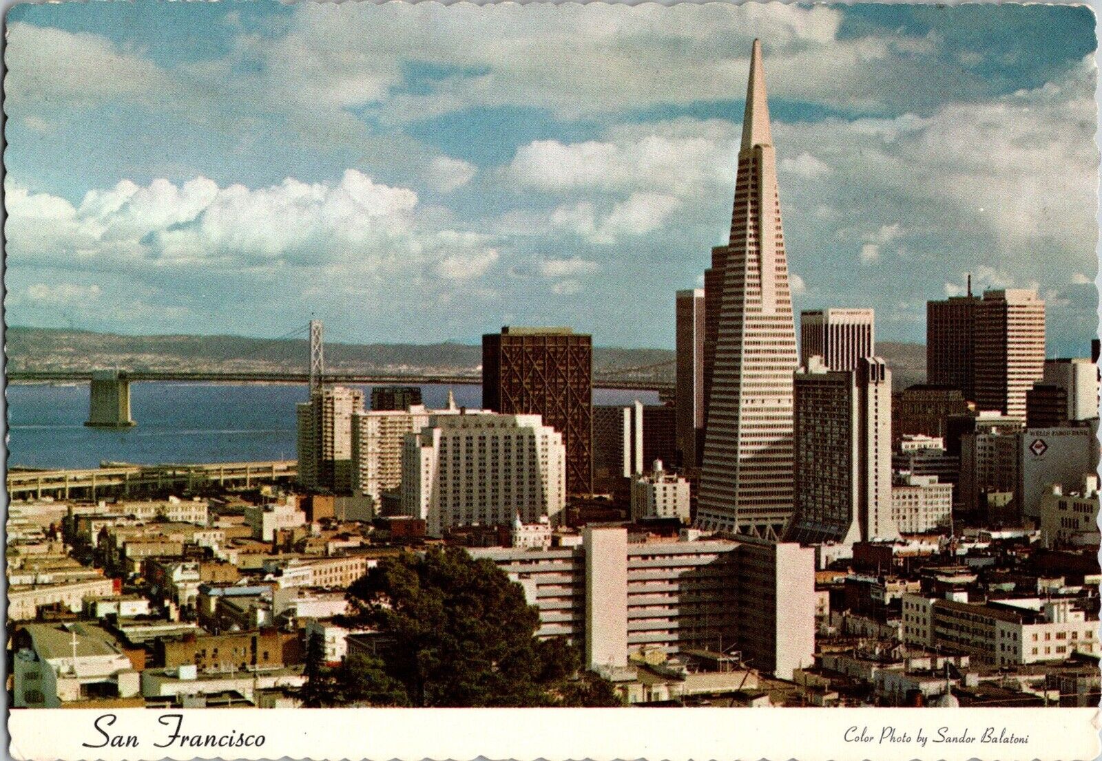 California Postcard: Downtown San Francisco View From Russian Hill
