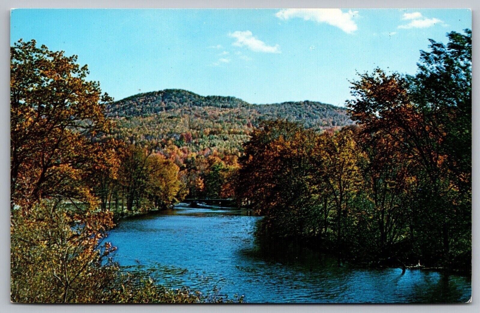 Battenkill River Trout Stream Arlington Vermont Riverfront Forest VTG Postcard