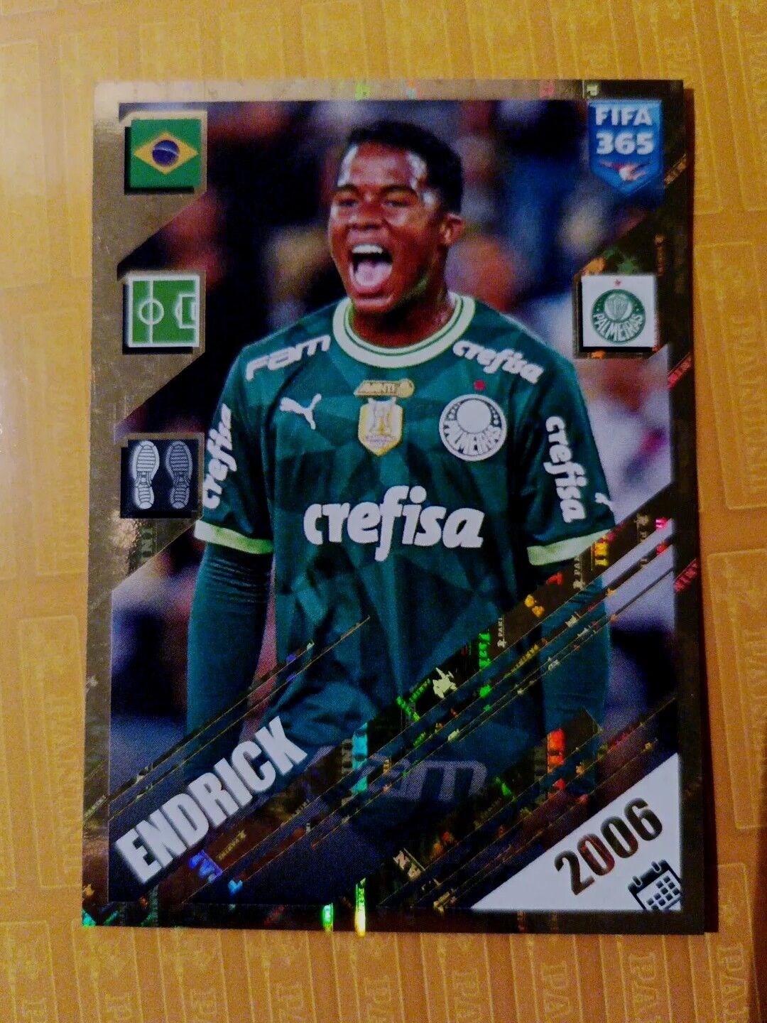 Panini Endrick Rookie RC Palmeiras Brazil FIFA 365 2023 2024 Toploader #428