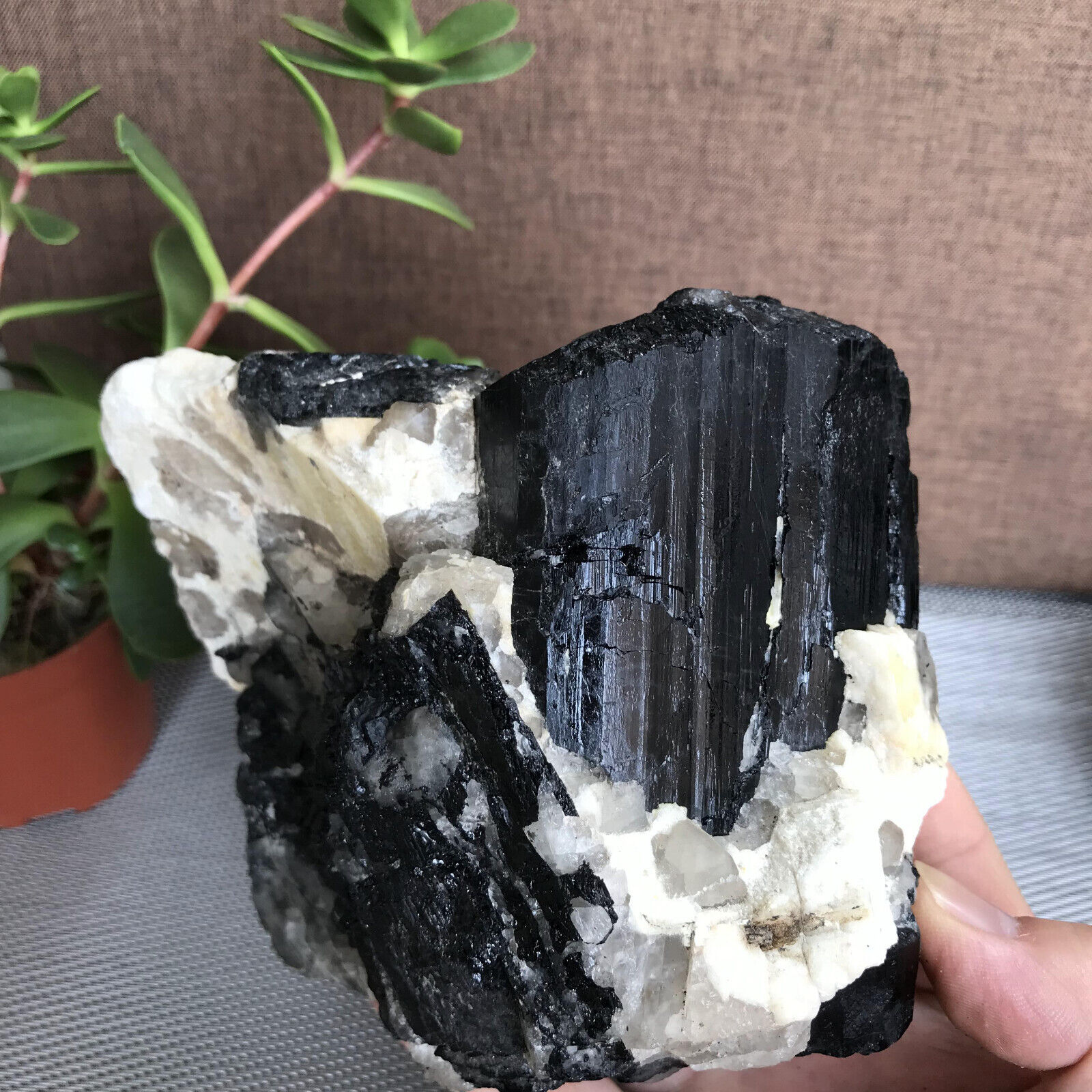 Natural Beautiful Black tourmaline Quartz specimen Crystal Healing Stone A1125