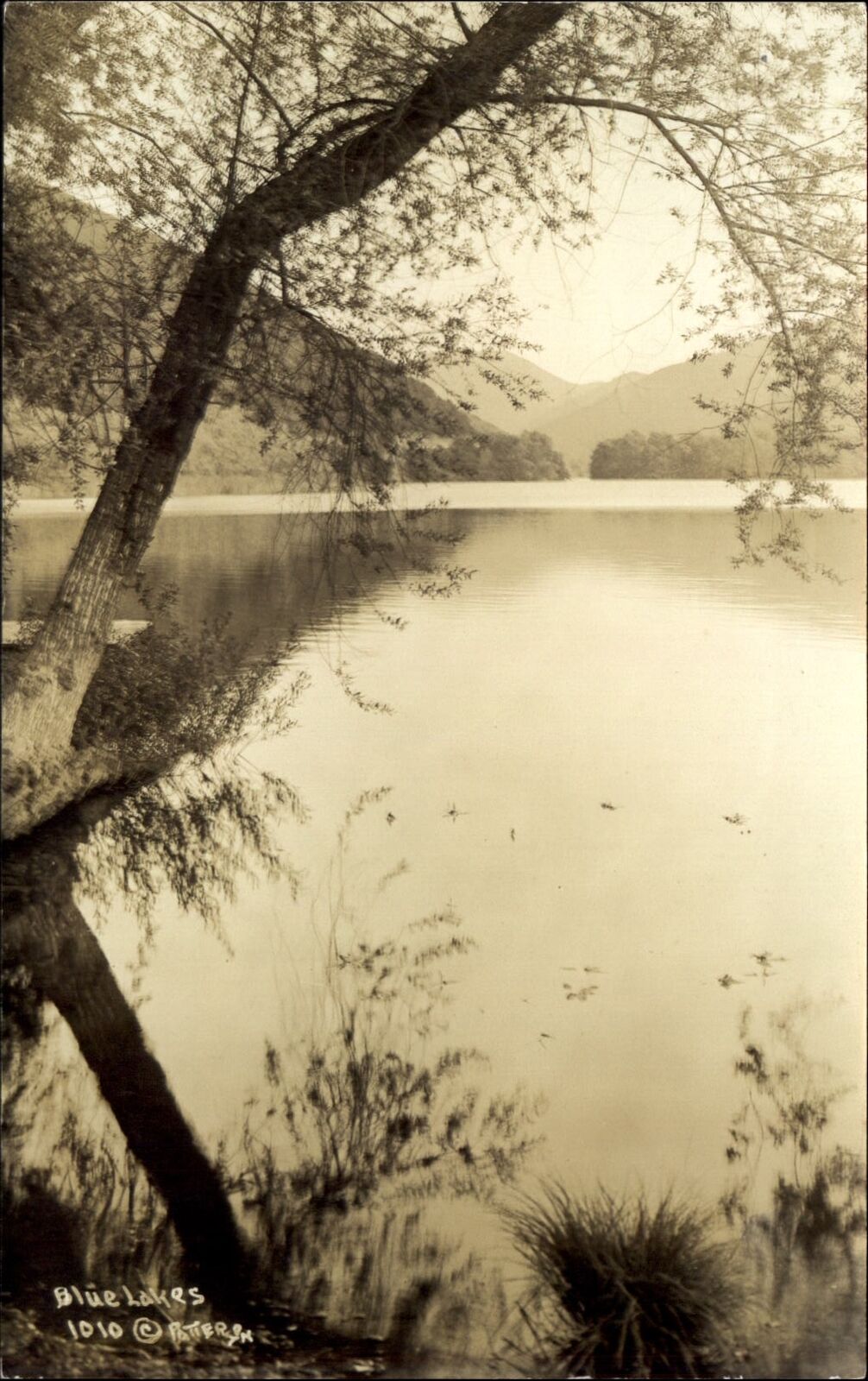RPPC Blue Lakes Michigan? Paterson photo 1010~ DOPS postcard 1925-1942