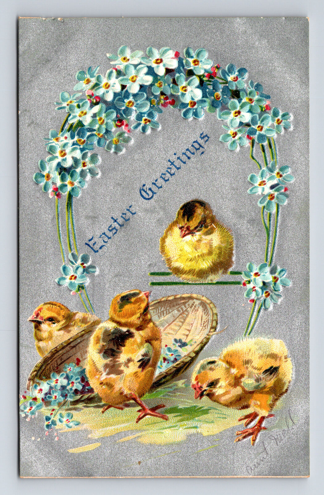 Easter Chicks & Forget Me Not Blue Flowers Silver Background Postcard