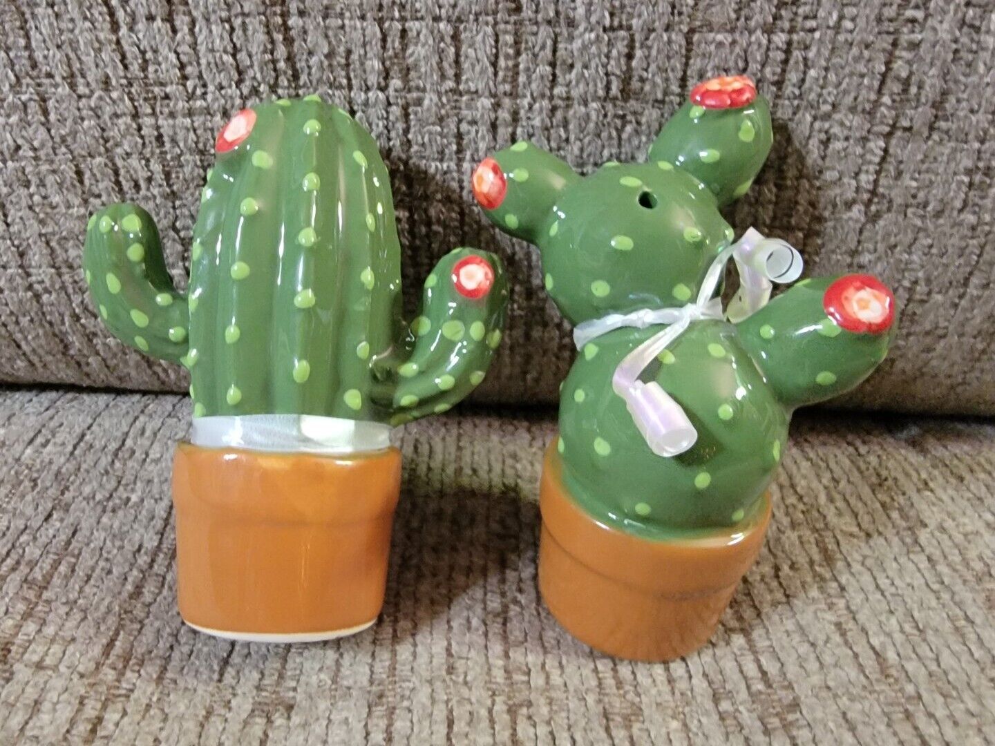 Potted Cactus Flowering Salt Pepper Shakers