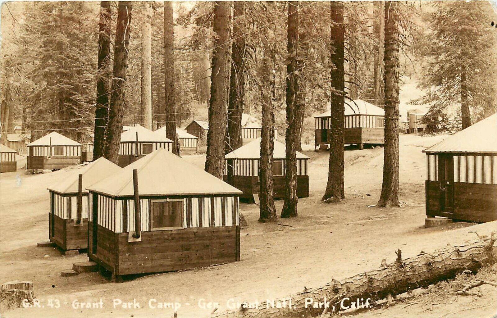 c1930 RPPC Postcard Grant Park Camp Cabins Gen. Grant Park CA Kings Canyon