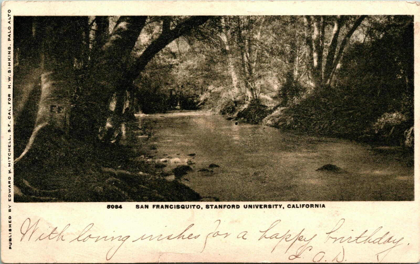 Vtg Postcard 1905 IDB San Francisquito Creek Stanford University CA Ed Mitchell 