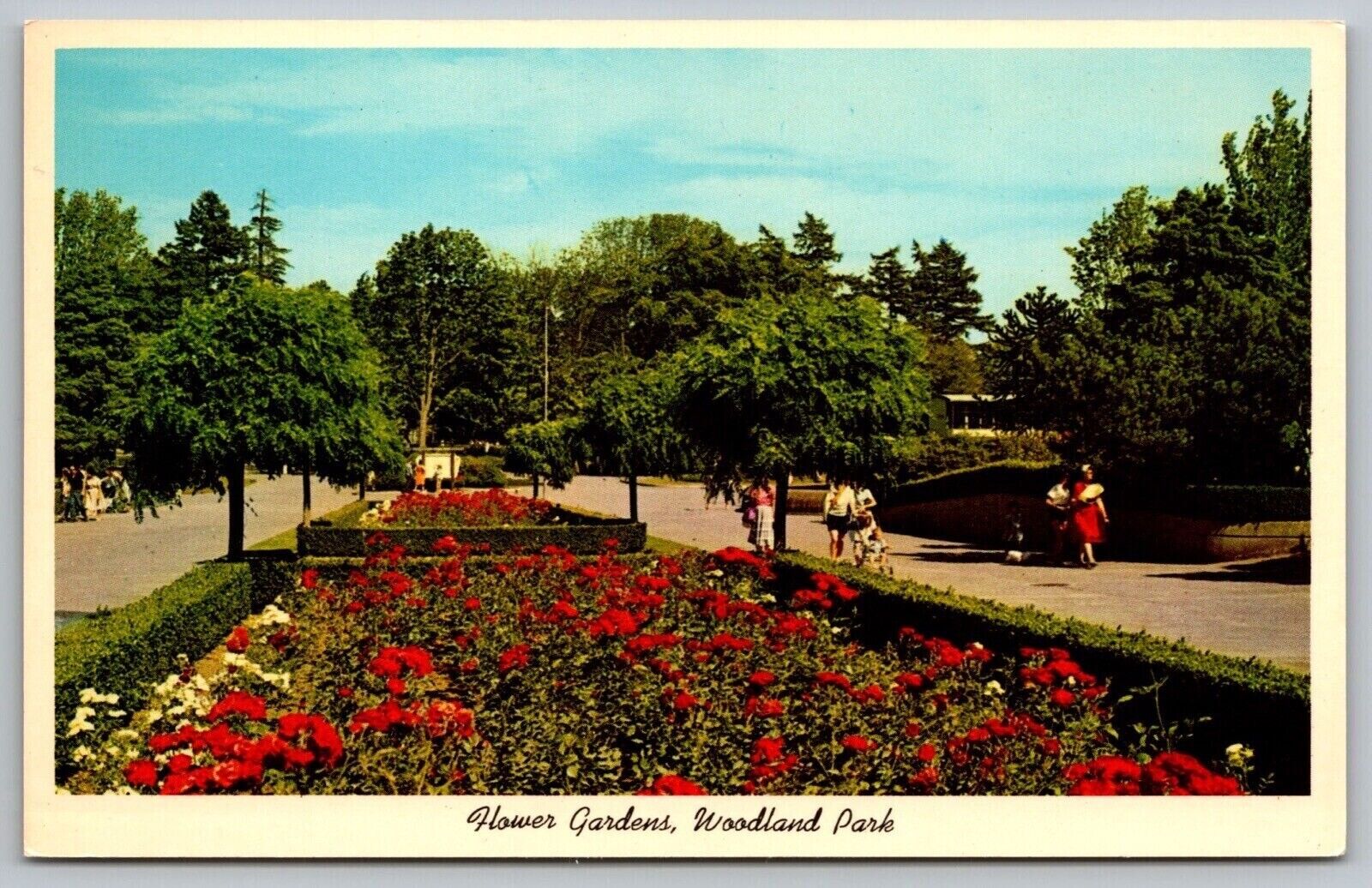 Flower Gardens Woodland Park Floral Beds Seattle Washington Vintage UNP Postcard