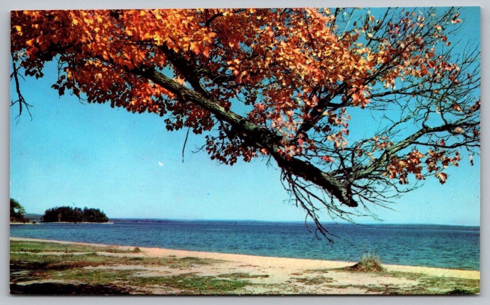 Sebago Lake Maine Landlocked Salmon Home Lakefront Beach Vintage UNP Postcard