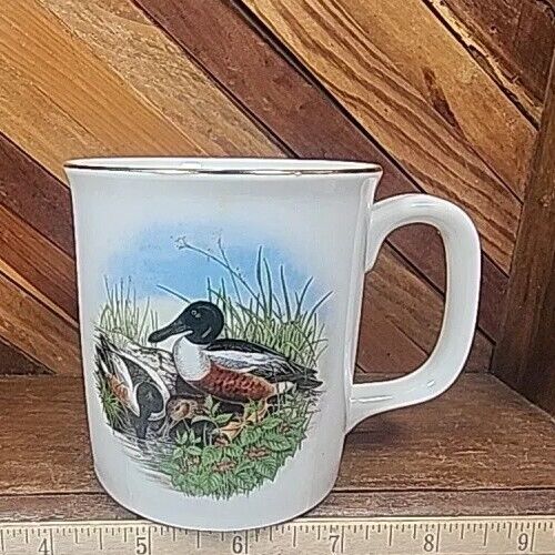 NORTHERN SHOVELER Wild Duck Collection Porcelain Gold Trimmed Coffee Mug Cups
