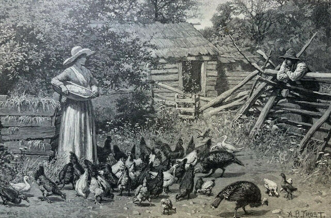 1887 Vintage Magazine Illustration Woman Feeding Chickens in Front of Log Cabin