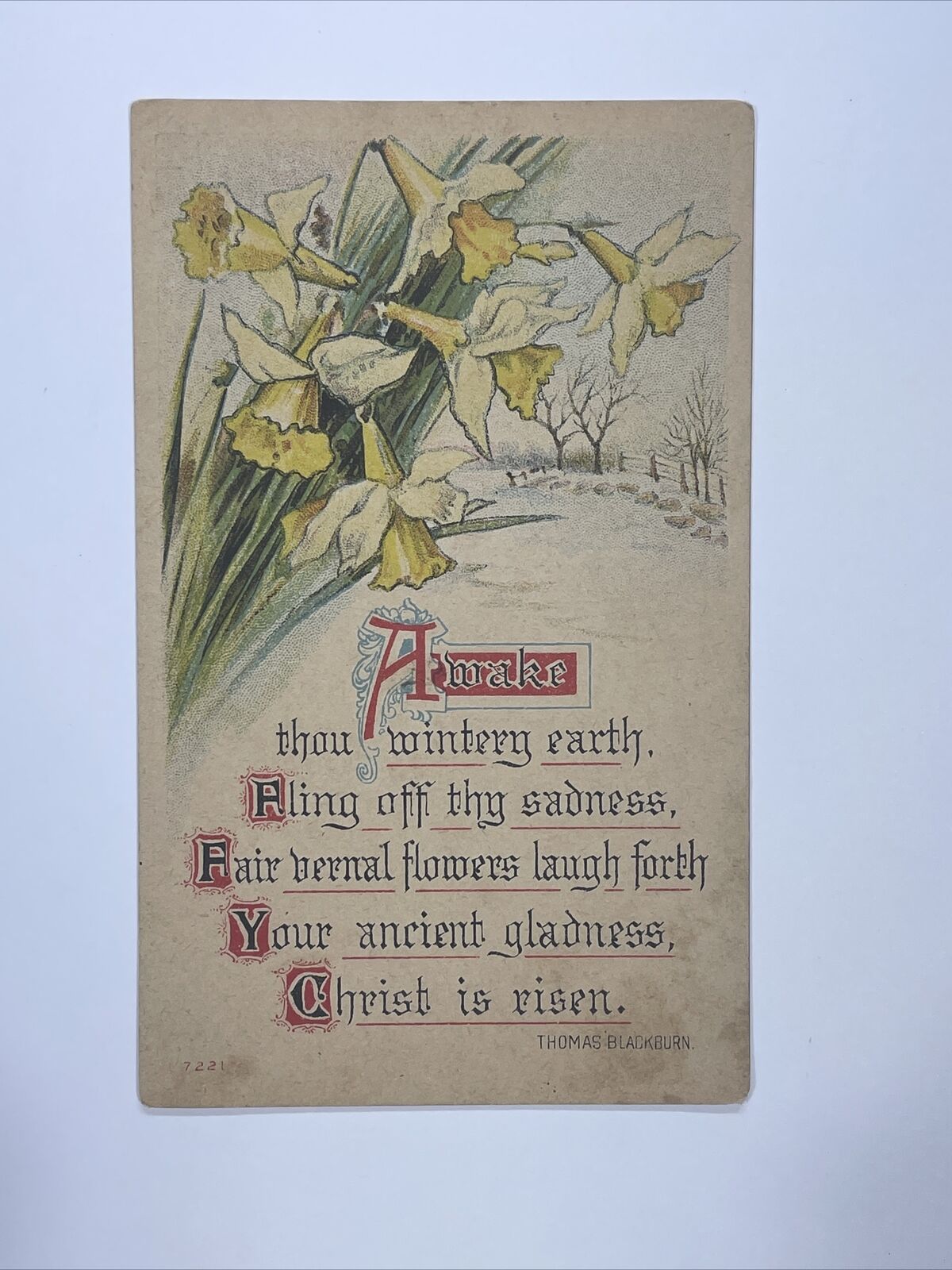 c1909 Vintage Easter Postcard Card Flowers, Lillies, Snow Scene Thomas Blackburn