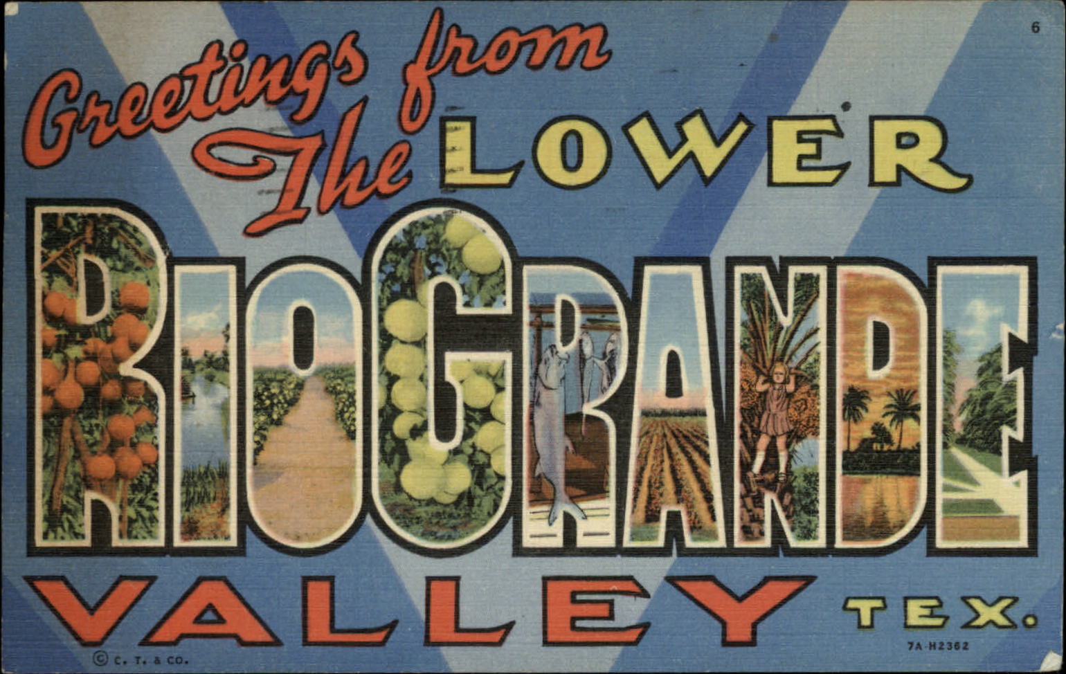 Lower Rio Grande Valley Texas ~ LARGE LETTER postcard ~ 1945